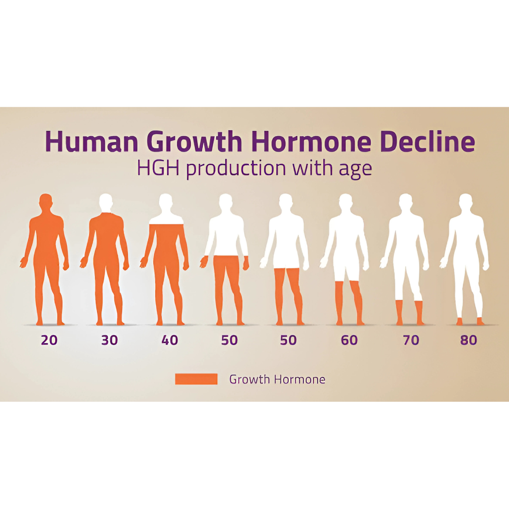 Chart illustrating the decline in human growth hormone (HGH) production with age, featuring silhouette figures representing growth hormone levels at different decades of life from 20 to 80 years old. A valuable visual for understanding the impact of aging on HGH and the importance of hormone optimization.