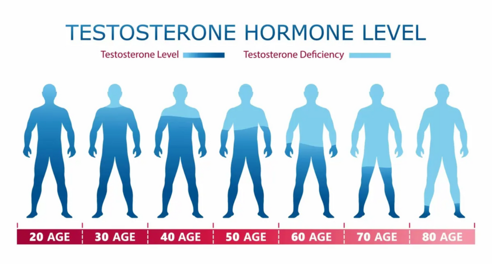 Chart illustrating testosterone hormone levels in men, showing the gradual decline from age 20 to 80. Visual representation highlights testosterone deficiency over time and serves as a guide to understanding low testosterone and potential replacement therapy options.