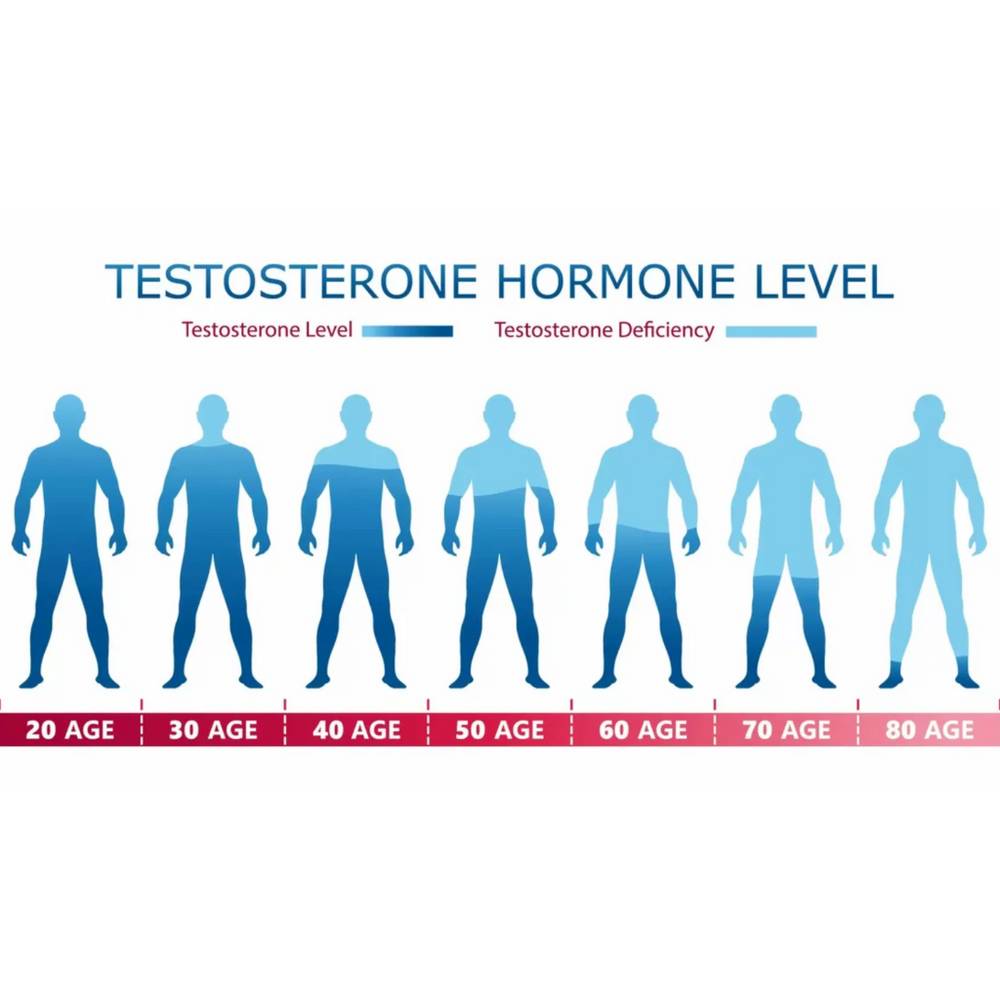 Chart of declining testosterone levels in men by decade, used in hormone optimization and low T diagnosis. Helps users considering TRT or testosterone testing at home