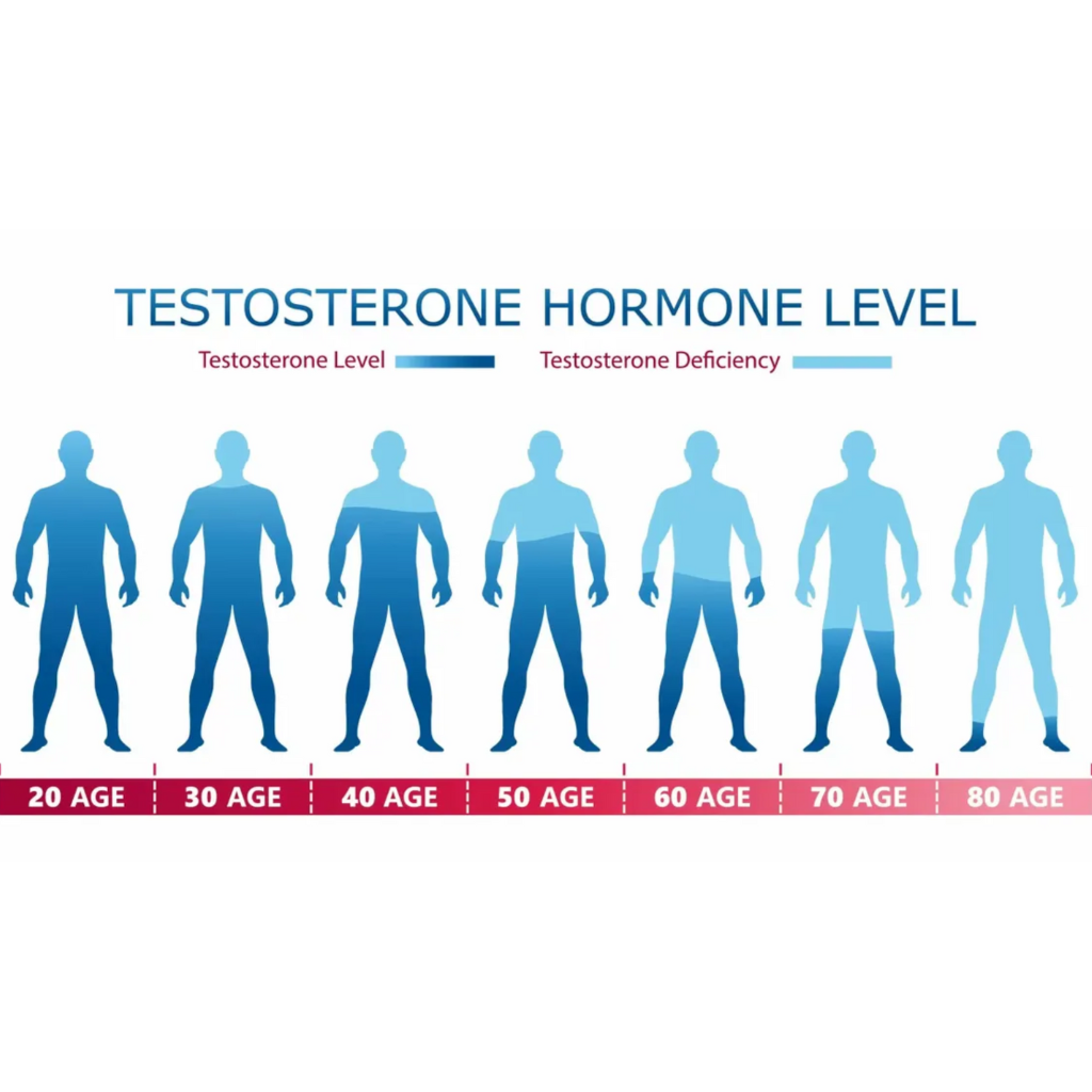 Chart of declining testosterone levels in men by decade, used in hormone optimization and low T diagnosis. Helps users considering TRT or testosterone testing at home
